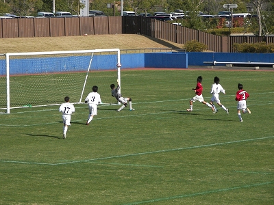 a0039065_23153410.jpg