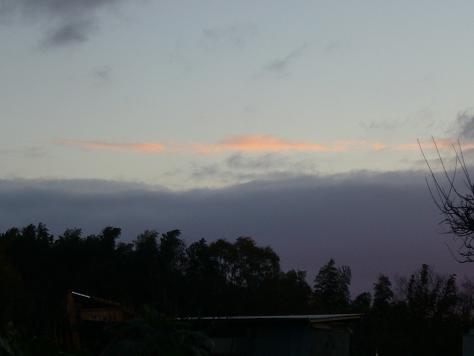 a0093566_9514261.jpg