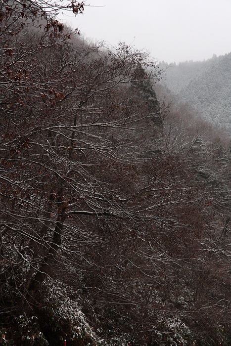 山は雪でした。_d0124866_1412448.jpg