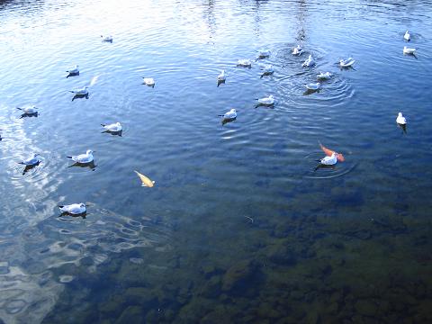 d0112968_15471621.jpg