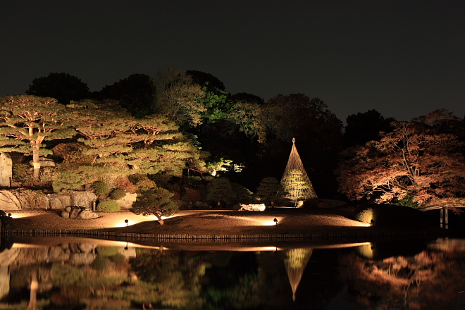 六義園（紅葉ライトアップ）♪_c0147069_1944623.jpg