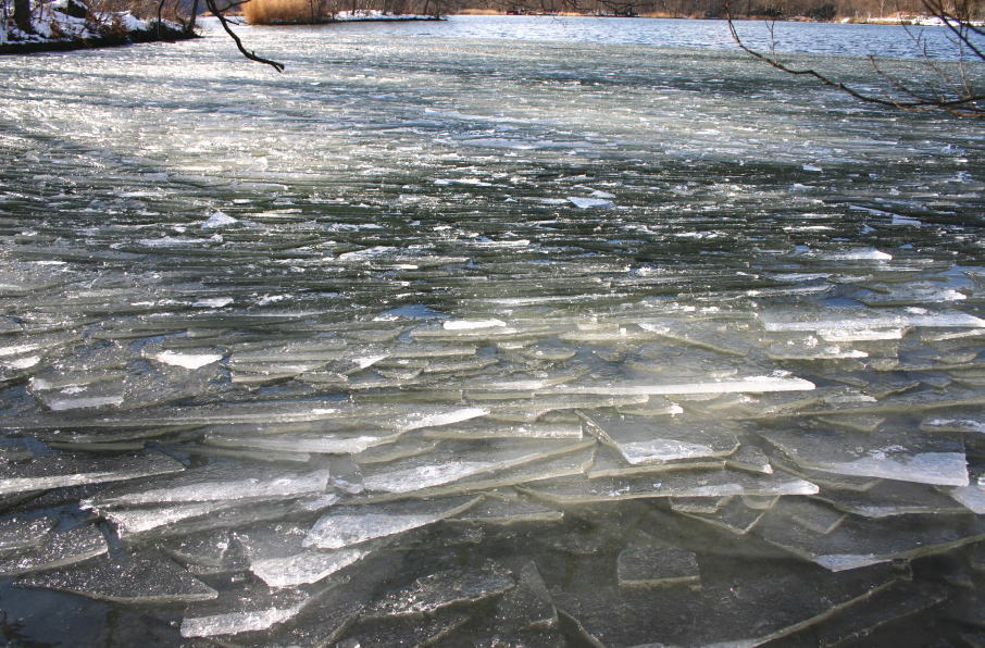 c0112479_1855290.jpg