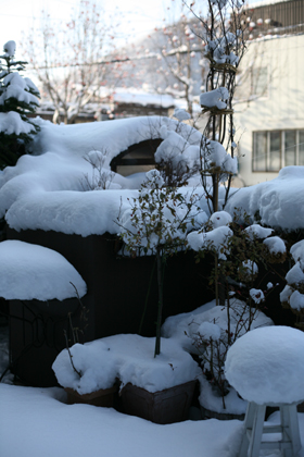 2008カレンダー作成中！！_f0127388_10352848.jpg