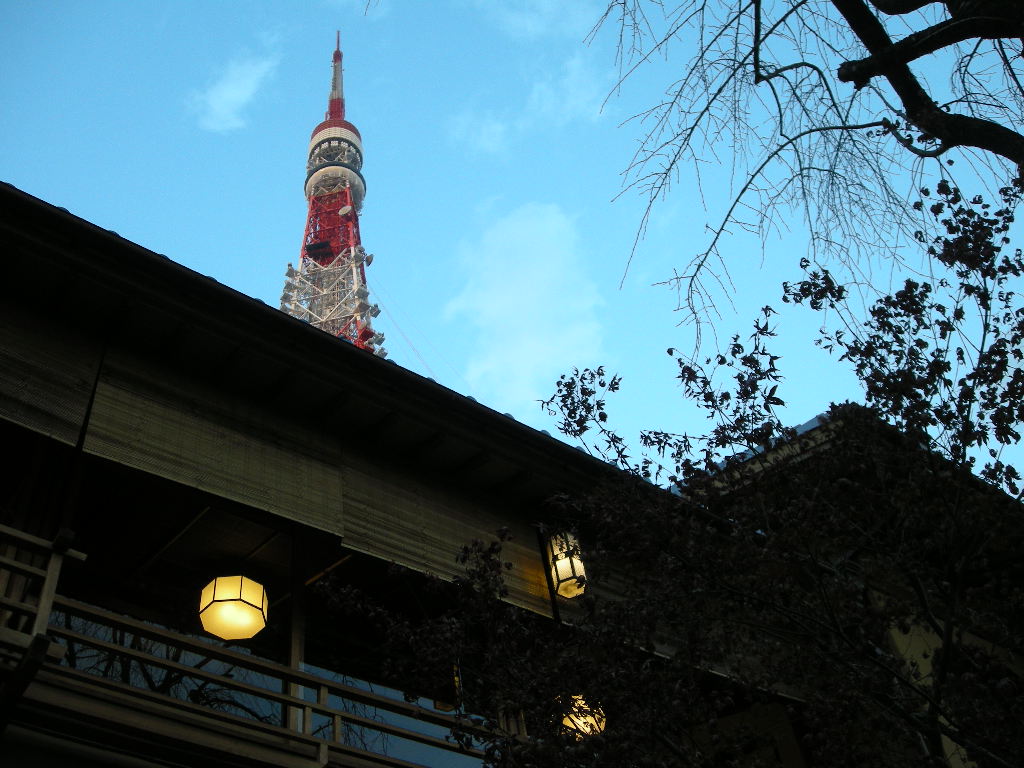 c0151691_84026.jpg