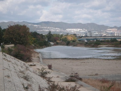 c0108693_16593439.jpg