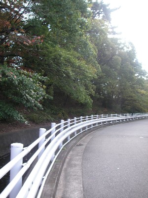 c0108693_171784.jpg
