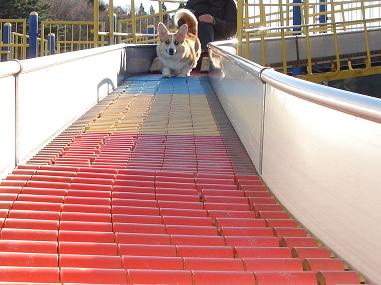 f0075595_182805.jpg