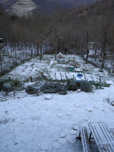 初雪が降りました_f0106597_0211327.jpg