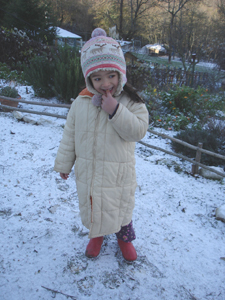 初雪が降りました_f0106597_0274936.jpg