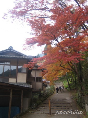 京都　女三人温泉旅　_f0115107_21402047.jpg