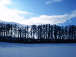 c0150209_23373495.jpg