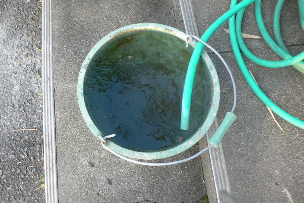 c0153412_9123721.jpg