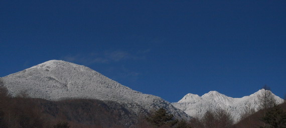 d0090322_034541.jpg
