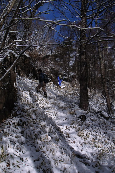 d0090322_037657.jpg