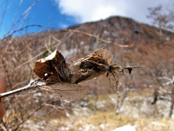 d0090322_041752.jpg