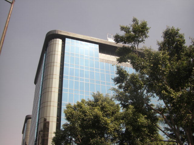 a0110123_9143062.jpg