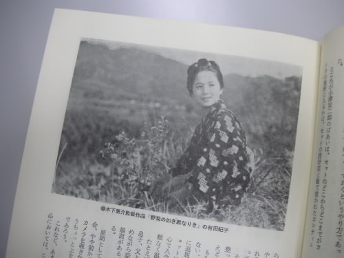 野菊のごとき君なりき_c0048132_16594590.jpg