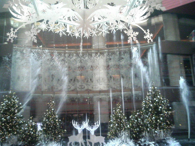 a0068548_17232415.jpg