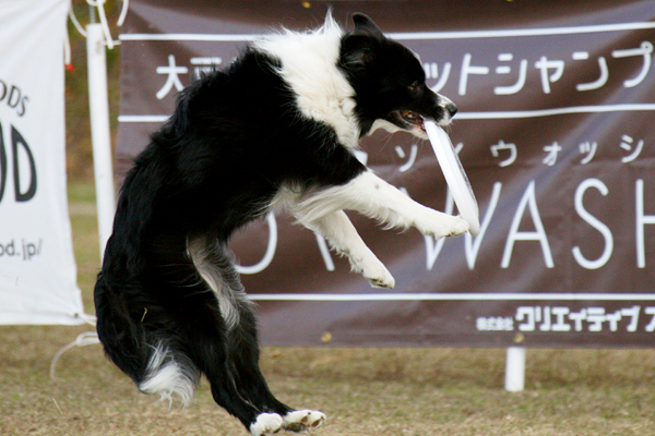 ＪＦＡ　2008　開幕戦　in　奈良橿原_e0111449_2174044.jpg