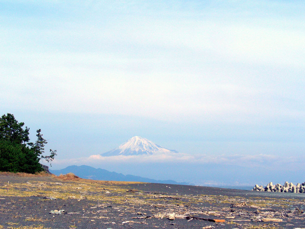 b0005652_19393361.jpg