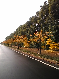 c0069552_9172437.jpg