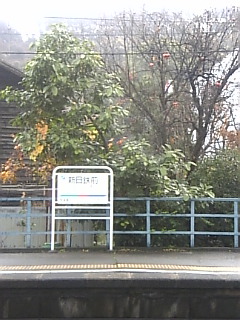 c0069552_917244.jpg