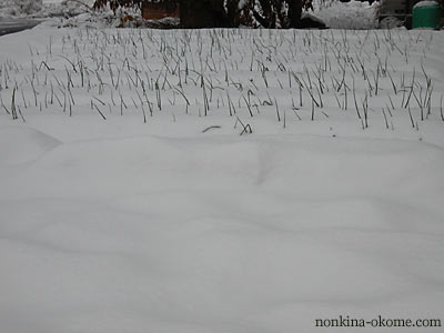 c0145453_06365.jpg