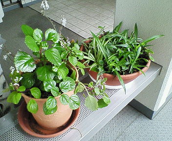 f0157057_23452117.jpg