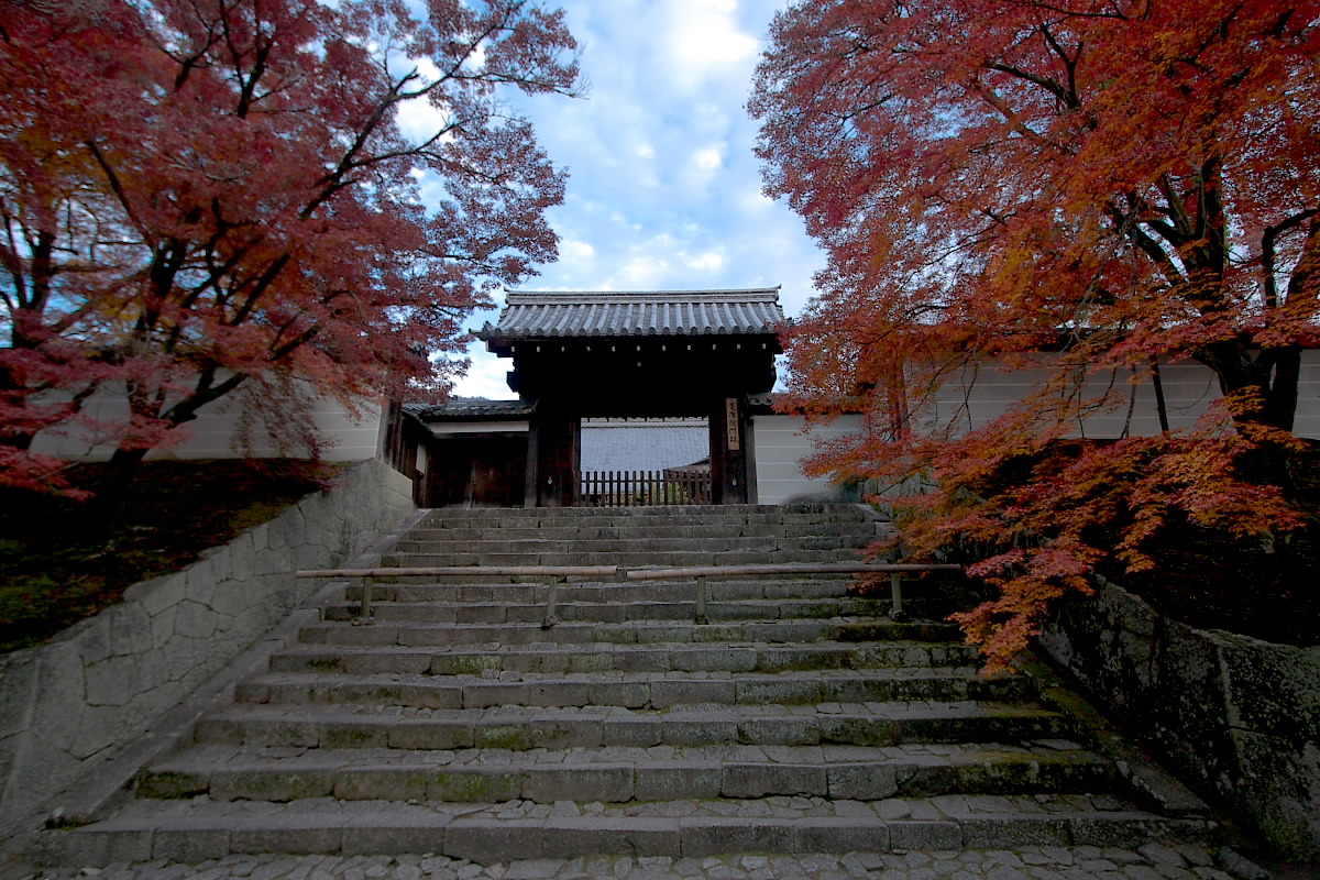 紅葉　2007 < 曼殊院>　12_f0021869_10365867.jpg