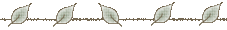c0139375_1171854.gif
