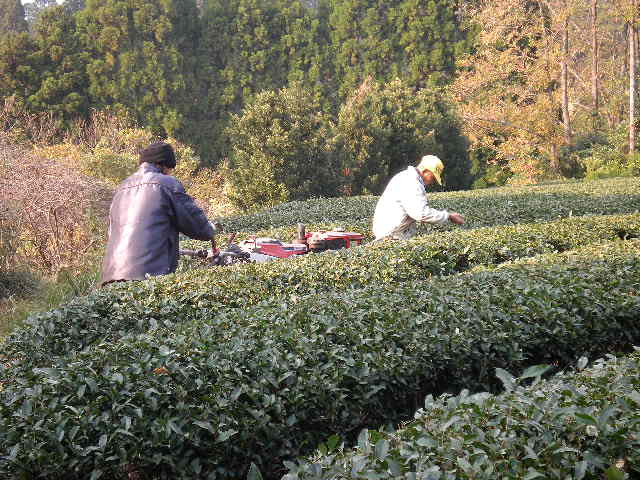 d0040076_1111222.jpg