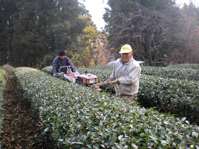 d0040076_114686.jpg