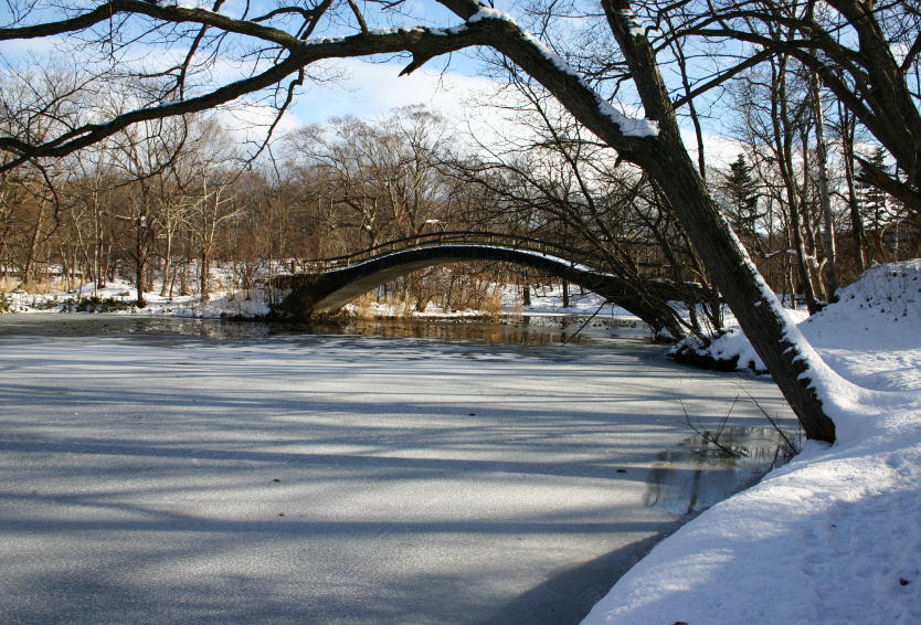 c0112479_21351175.jpg