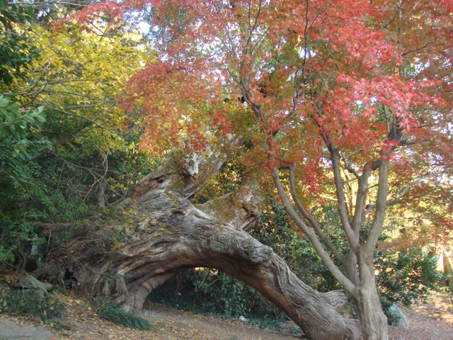 e0111793_001639.jpg