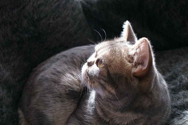 a0048197_16321127.jpg