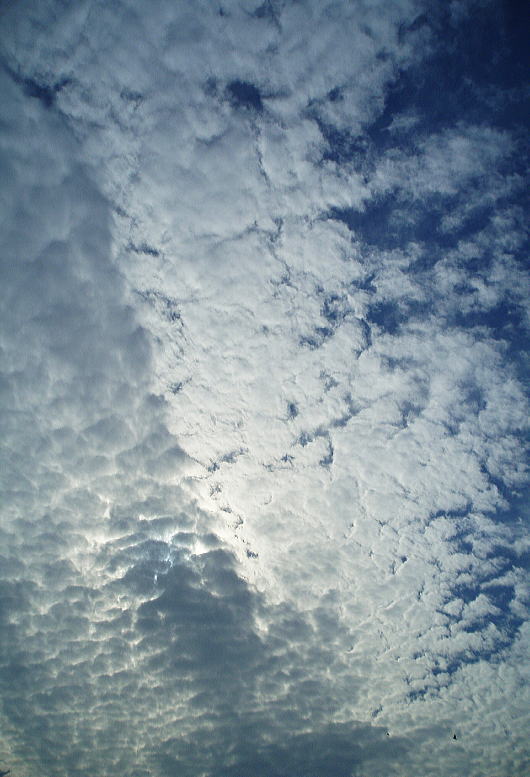 b0055202_23334042.jpg
