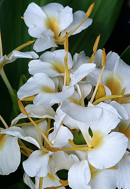 e0039703_22503020.jpg