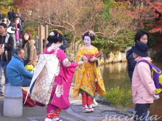 紅葉狩り　また京都？！_f0115107_2355325.jpg