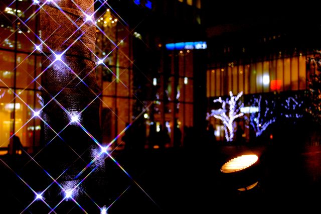a0099808_1281830.jpg