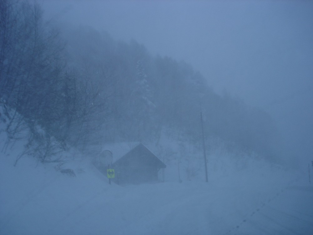 f0024708_3112372.jpg