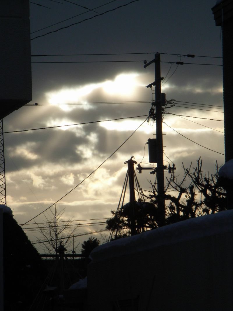 マイナス3℃ 冬の朝_c0025115_17462772.jpg
