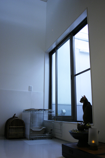 e0090124_819424.jpg
