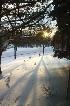 d0111928_10365431.jpg