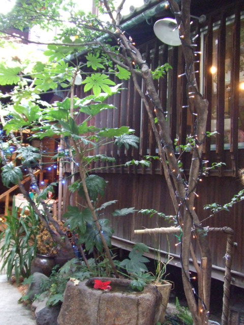 c0110930_2245513.jpg