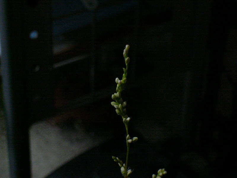 f0096947_22563367.jpg