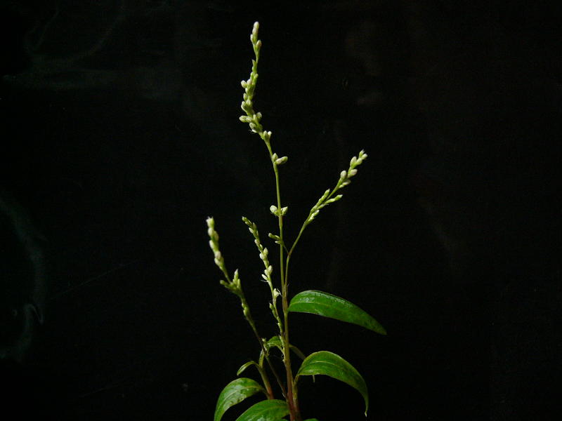 f0096947_2256349.jpg
