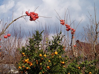 d0048350_21494336.jpg