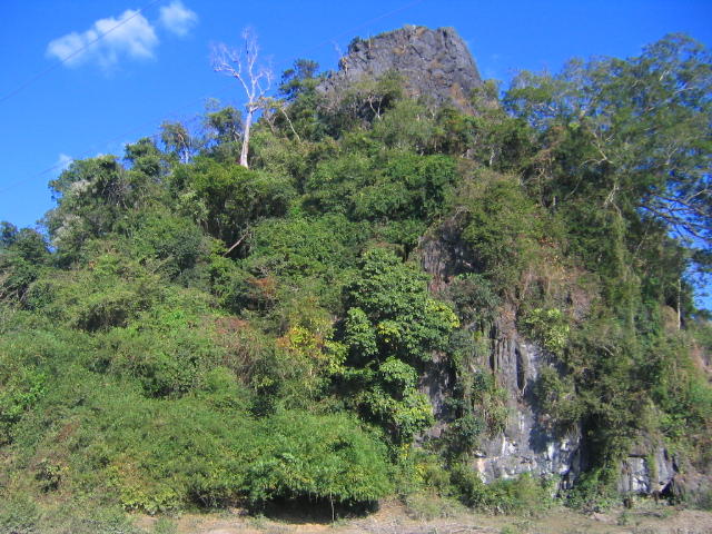 a0077752_3493422.jpg