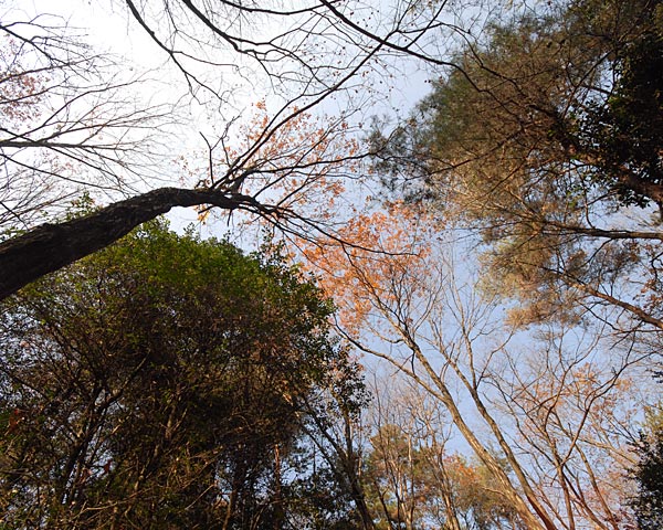 e0035757_23114023.jpg