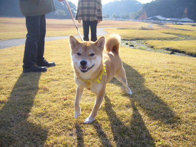12月18日(火)愛ちゃん、未知との遭遇!_f0060461_1381836.jpg